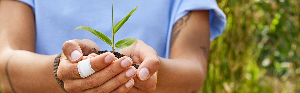 Une personne avec de la terre dans les mains, contenant une jeune pousse verte.  Une personne avec de la terre dans les mains, contenant une jeune pousse verte.